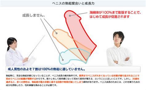 勃起 前屈み|不必要な勃起に対処する方法: 10 ステップ (画像あり)